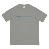 Gettysburg College-Gilder Lehrman MA in American History t-shirt